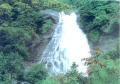 Thusharagiri waterfall.jpeg
