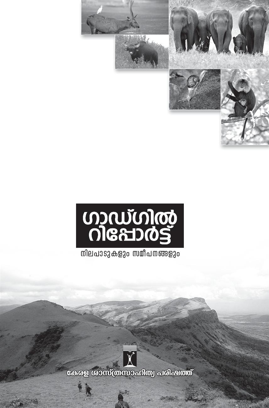 Gadgil Laghulekha.pdf